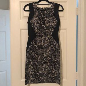 Snake print Cocktail dress